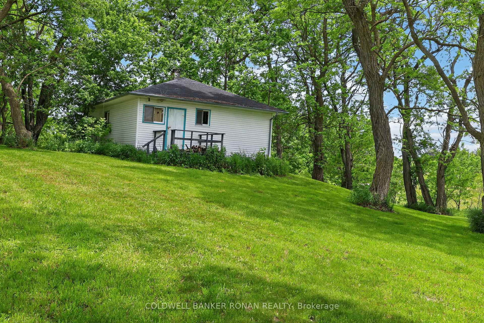 2362 Concession Rd 2 • Adjala-Tosorontio, ON photo 9