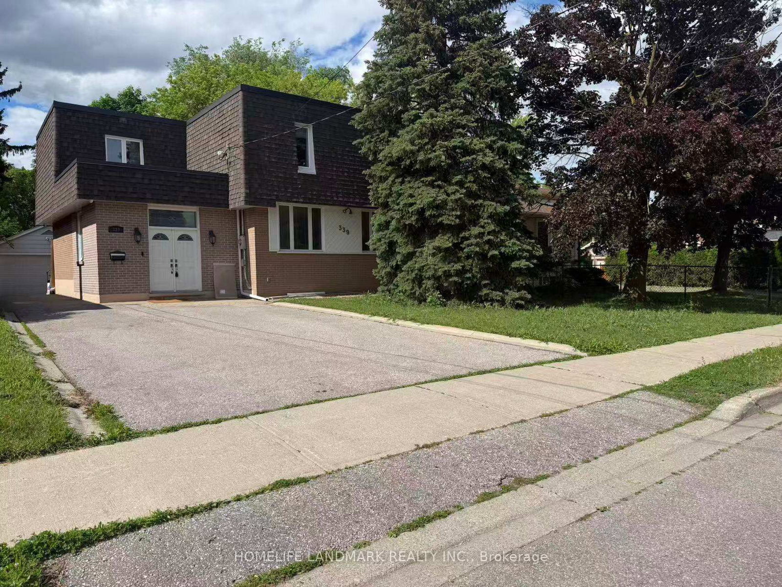 Basement - 339 Elmwood Avenue, Richmond Hill