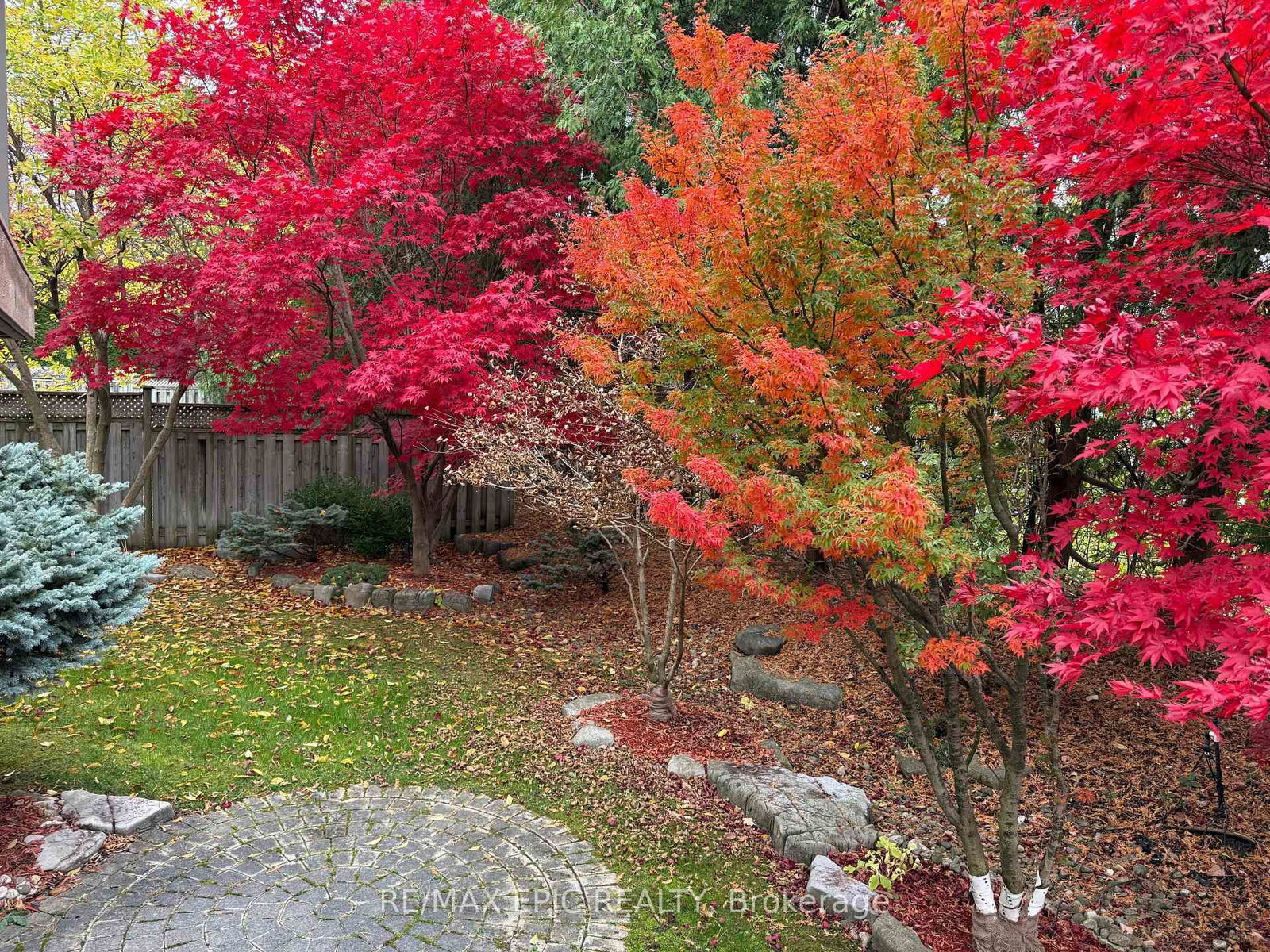 11 Palace Court • Richmond Hill, ON photo 3
