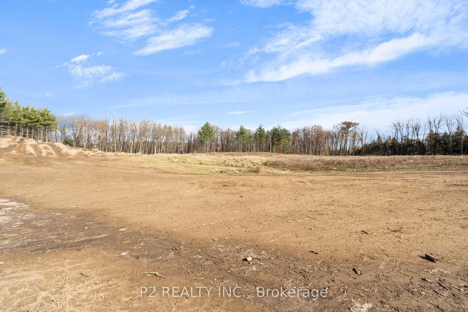 50 Newton Reed Crescent • Uxbridge, ON photo 39