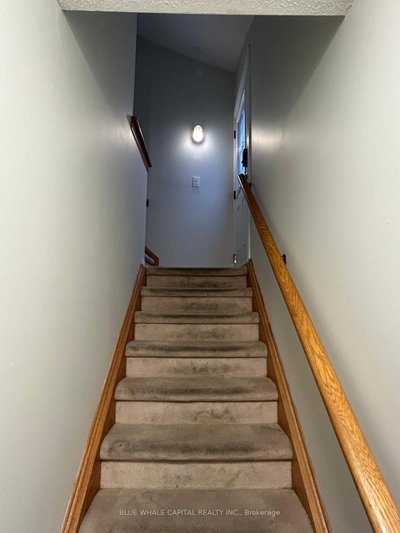 Unit BASEMENT — 85 White Cedar Drive — photo 5