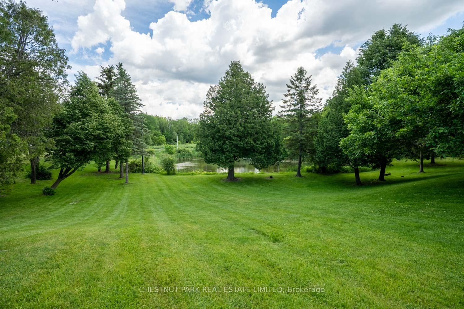 15175 Keele Street • King, ON photo 27