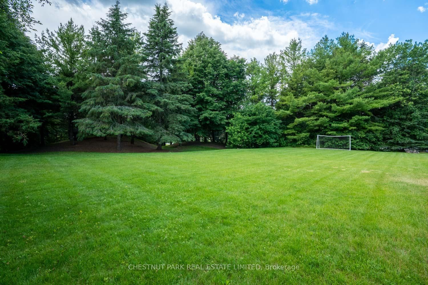 15175 Keele Street • King, ON photo 28