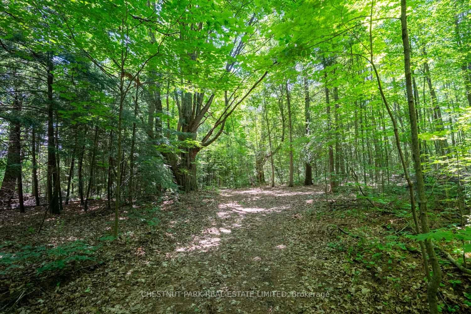 15175 Keele Street • King, ON photo 31