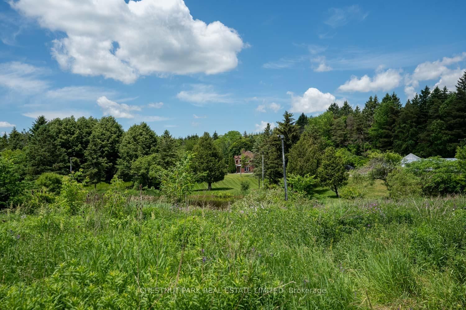 15175 Keele Street • King, ON photo 33