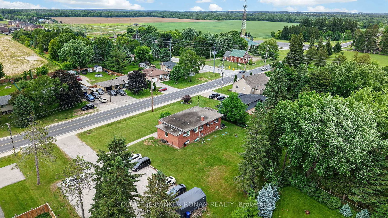 181 Murphy Road • Essa, ON photo 22