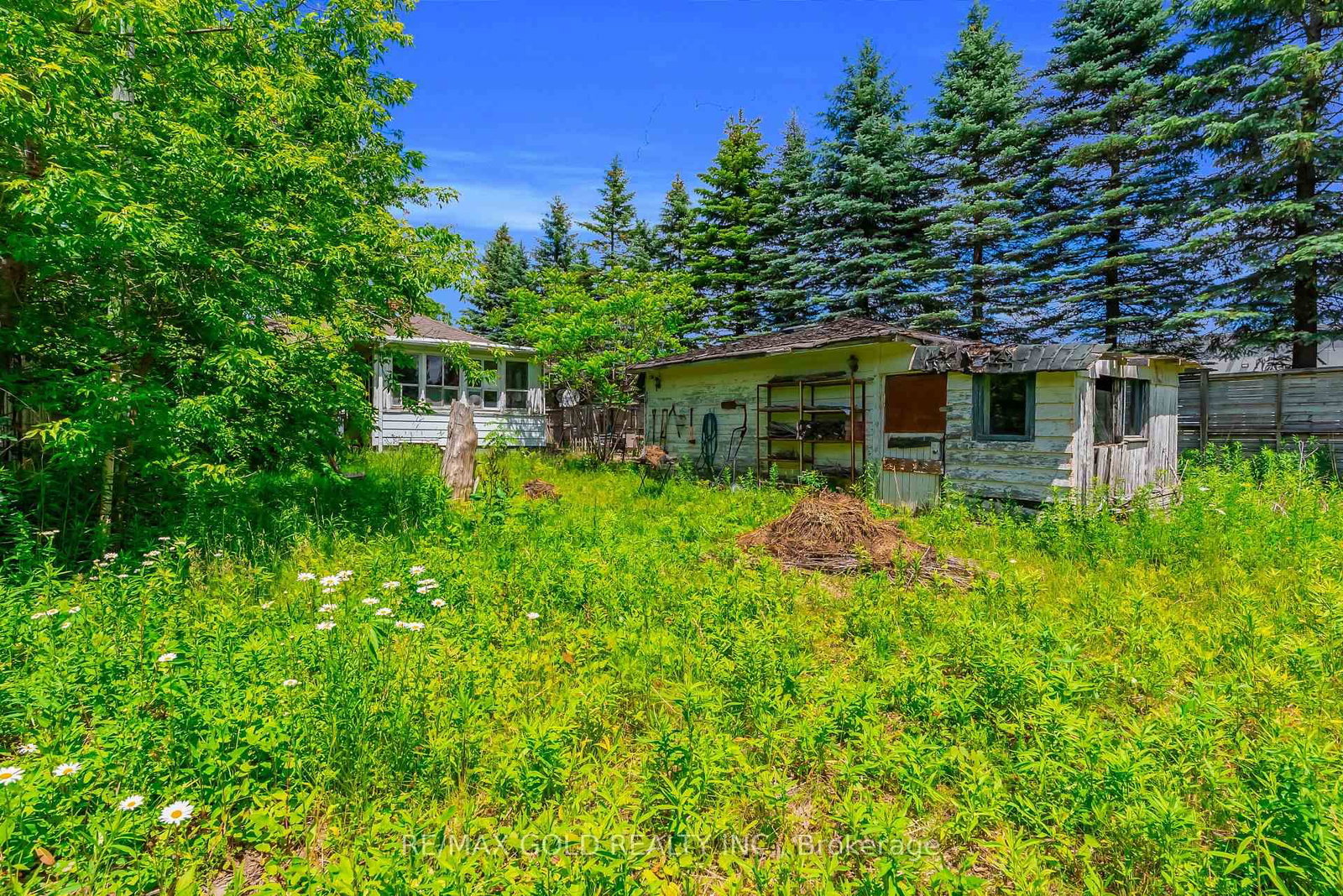 3 Aubrey Avenue • Richmond Hill, ON photo 27