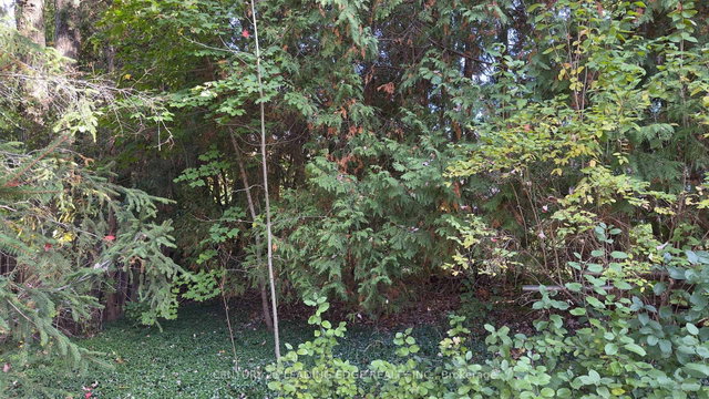 117 WESTWOOD Lane