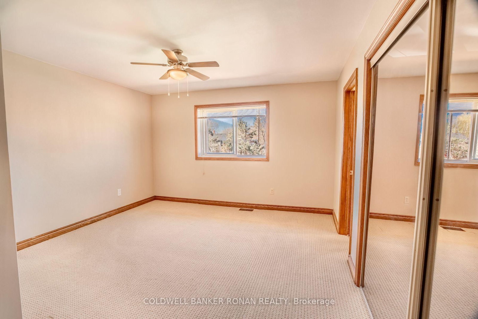 9199 Highway 89 • Adjala-Tosorontio, ON photo 17