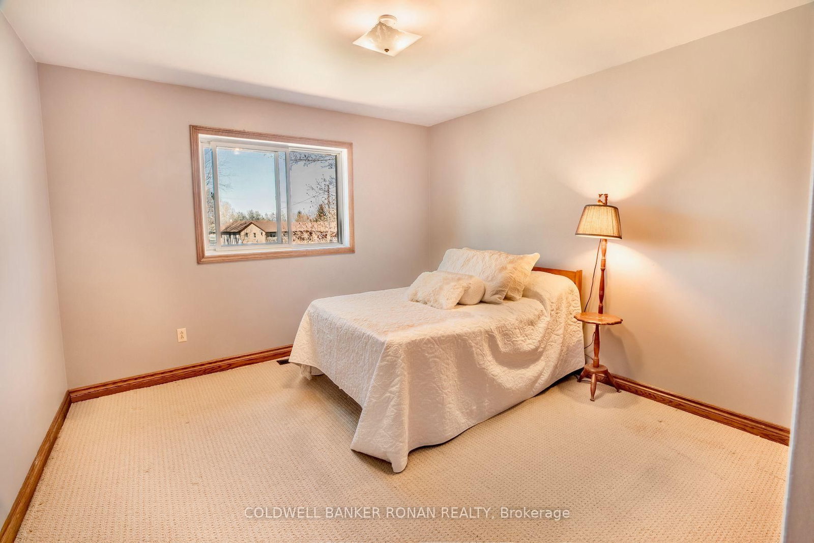 9199 Highway 89 • Adjala-Tosorontio, ON photo 20