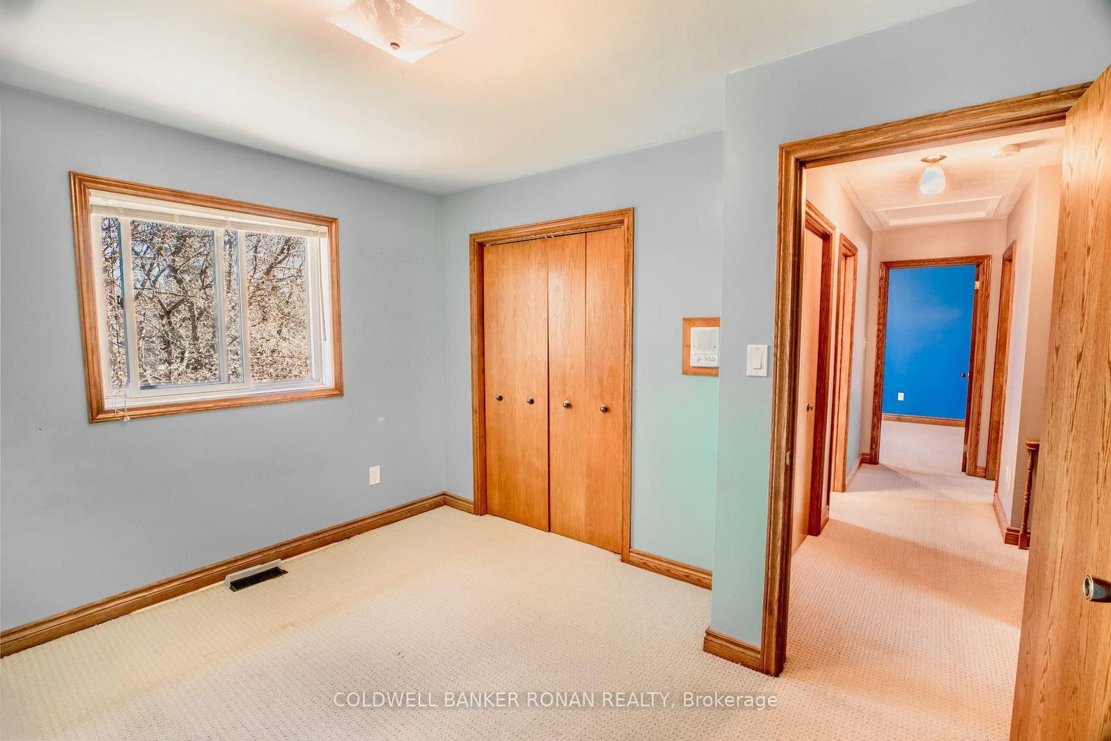 9199 Highway 89 • Adjala-Tosorontio, ON photo 21