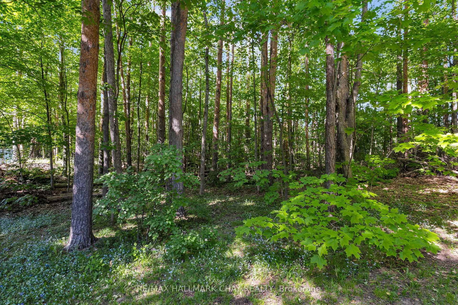 3724 Whitecap Drive • Innisfil, ON photo 33