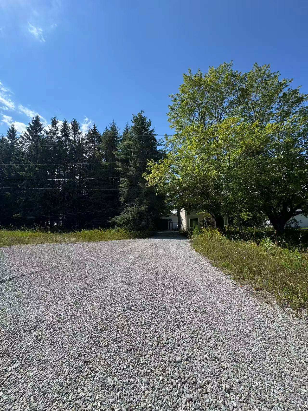 4850 Hwy 47 • Uxbridge, ON photo 3