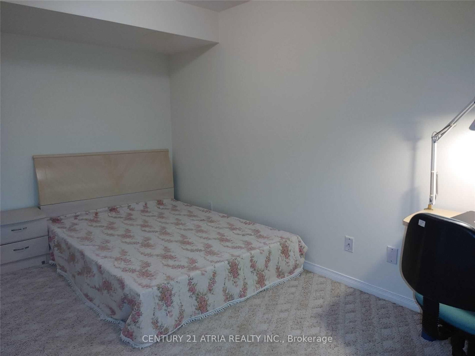 76 Ellesmere Street • Richmond Hill, ON photo 27