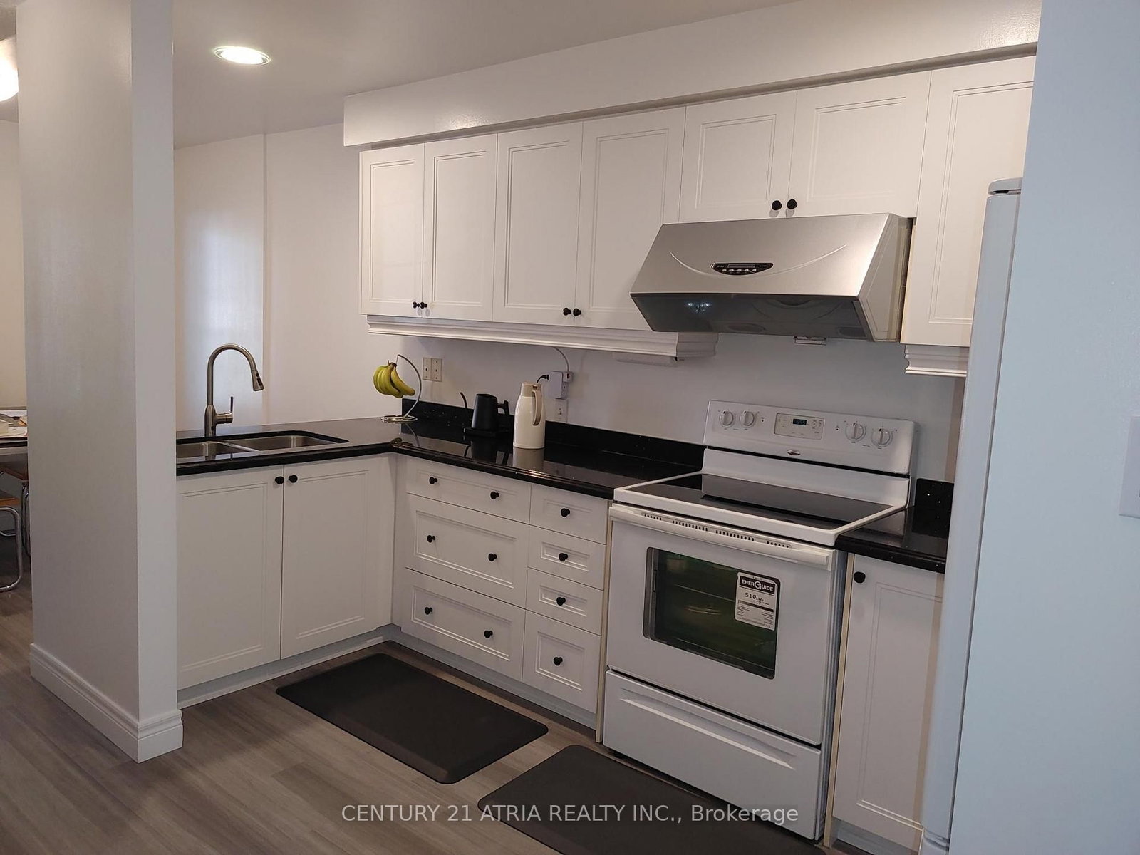 76 Ellesmere Street • Richmond Hill, ON photo 7