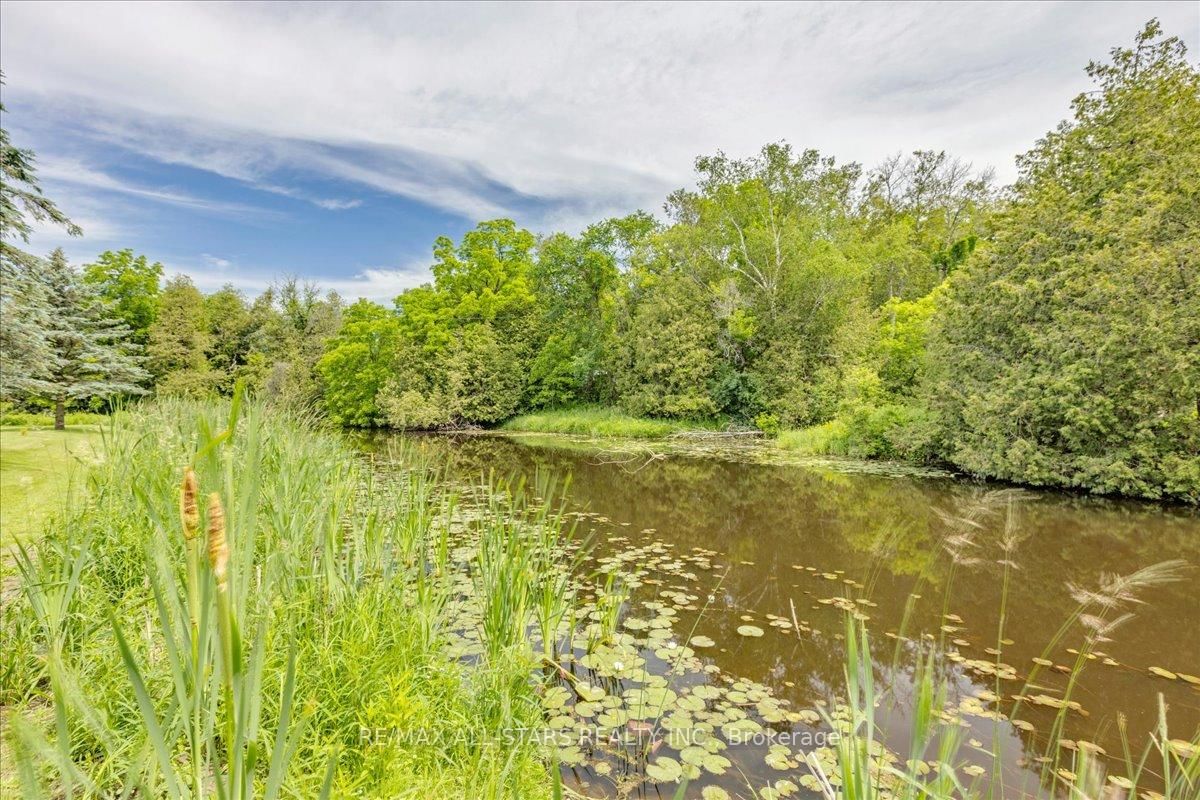 562 Catering Road • Georgina, ON photo 38