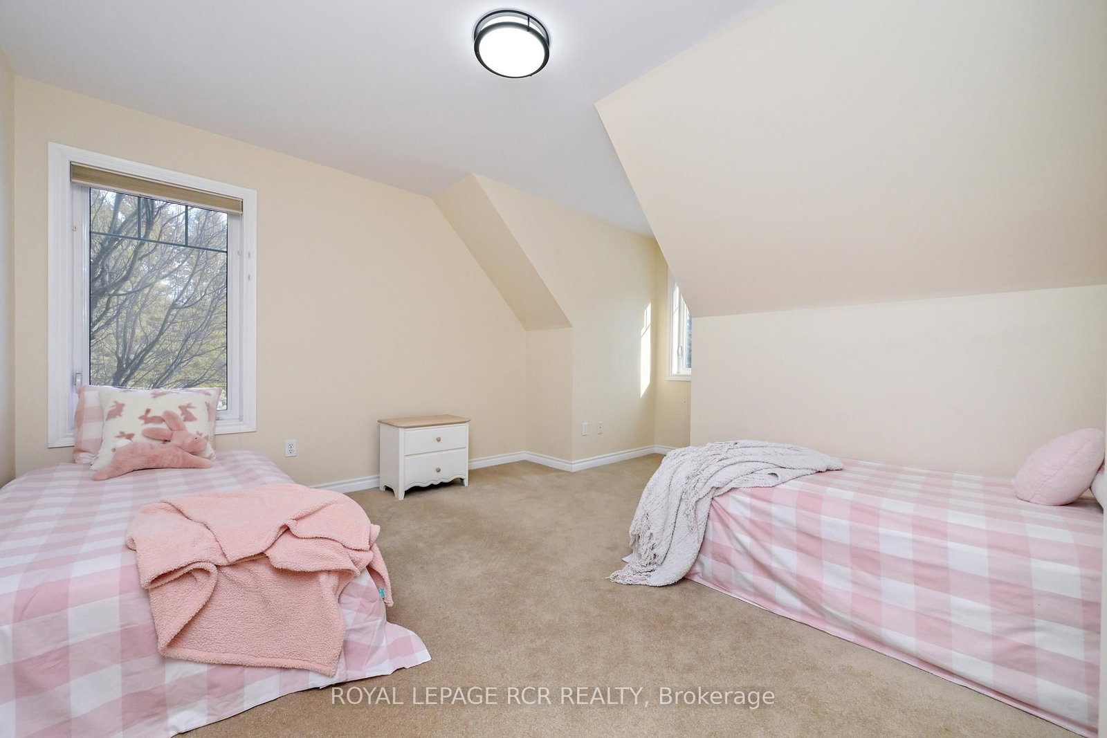 2863 Concession Rd 3 • Adjala-Tosorontio, ON photo 24