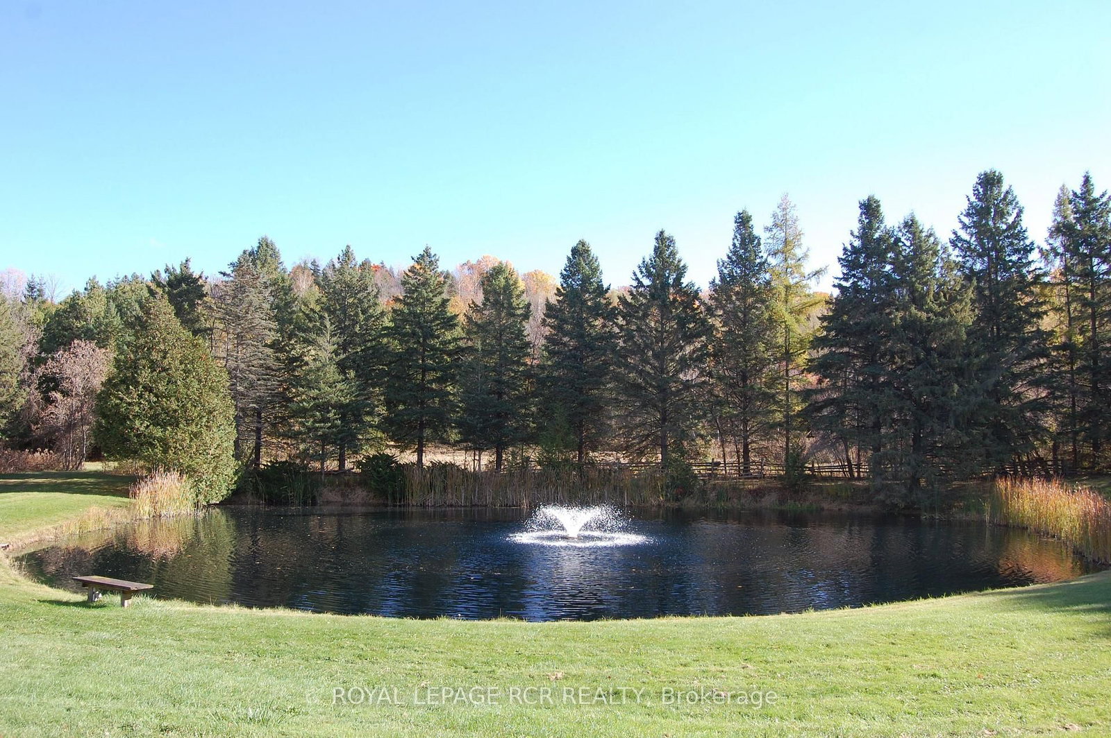 2863 Concession Rd 3 • Adjala-Tosorontio, ON photo 28
