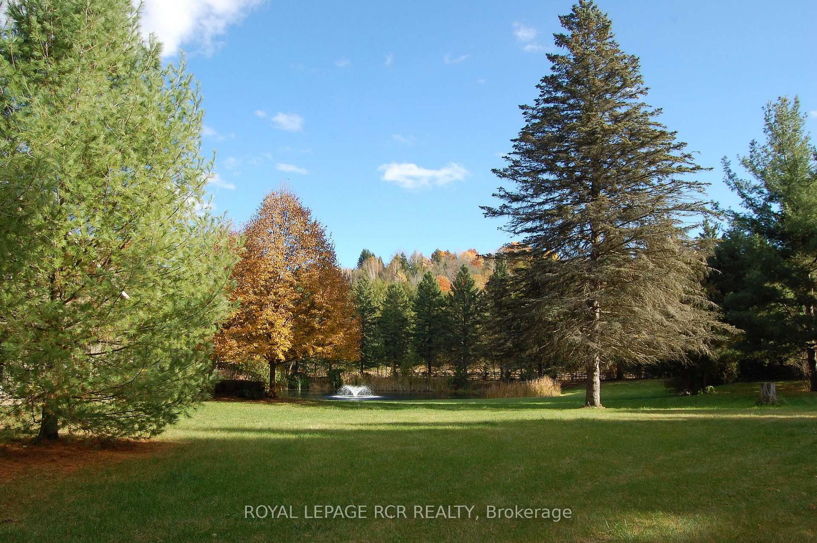 2863 Concession Rd 3 • Adjala-Tosorontio, ON photo 29