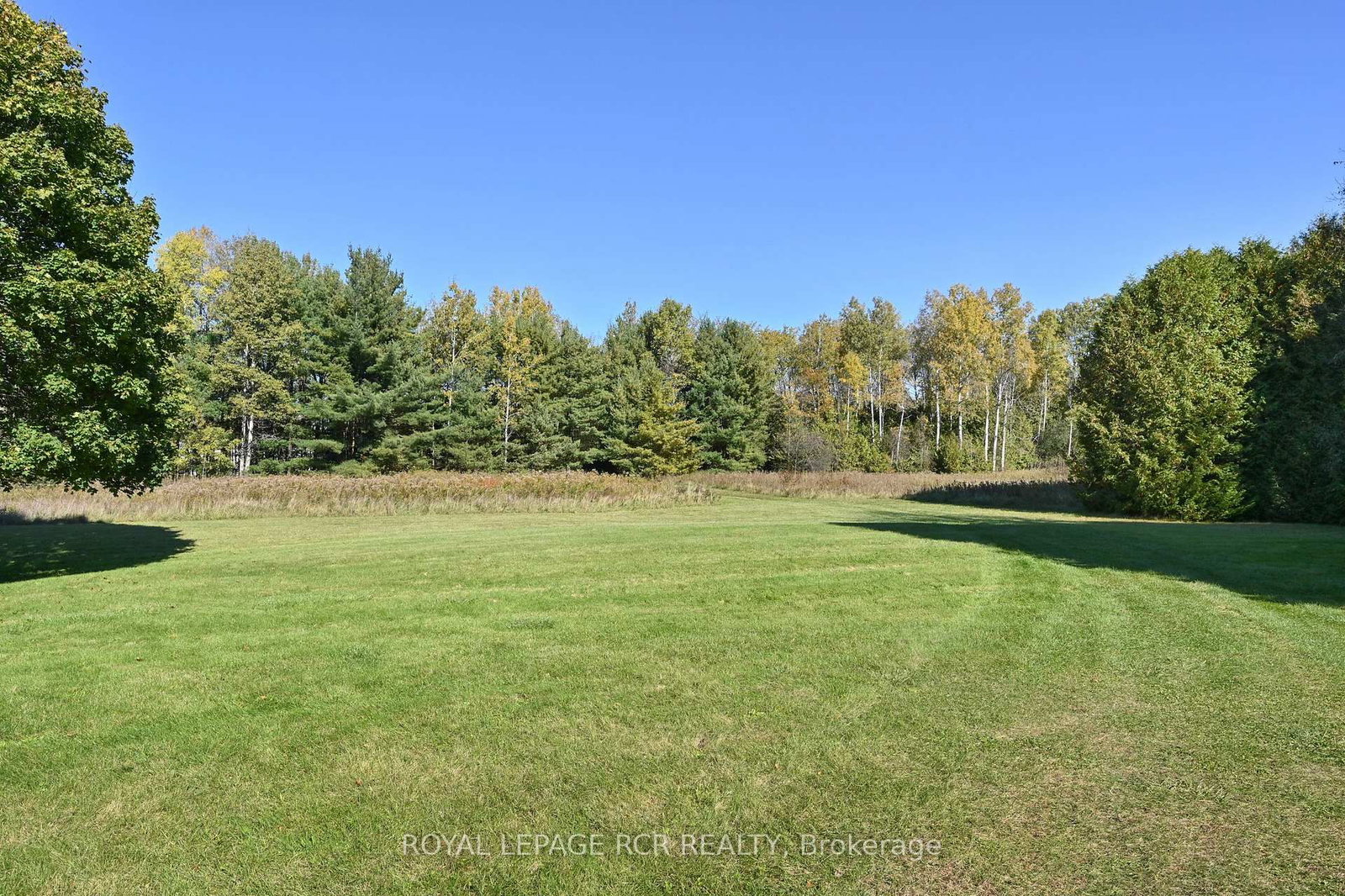 2863 Concession Rd 3 • Adjala-Tosorontio, ON photo 30