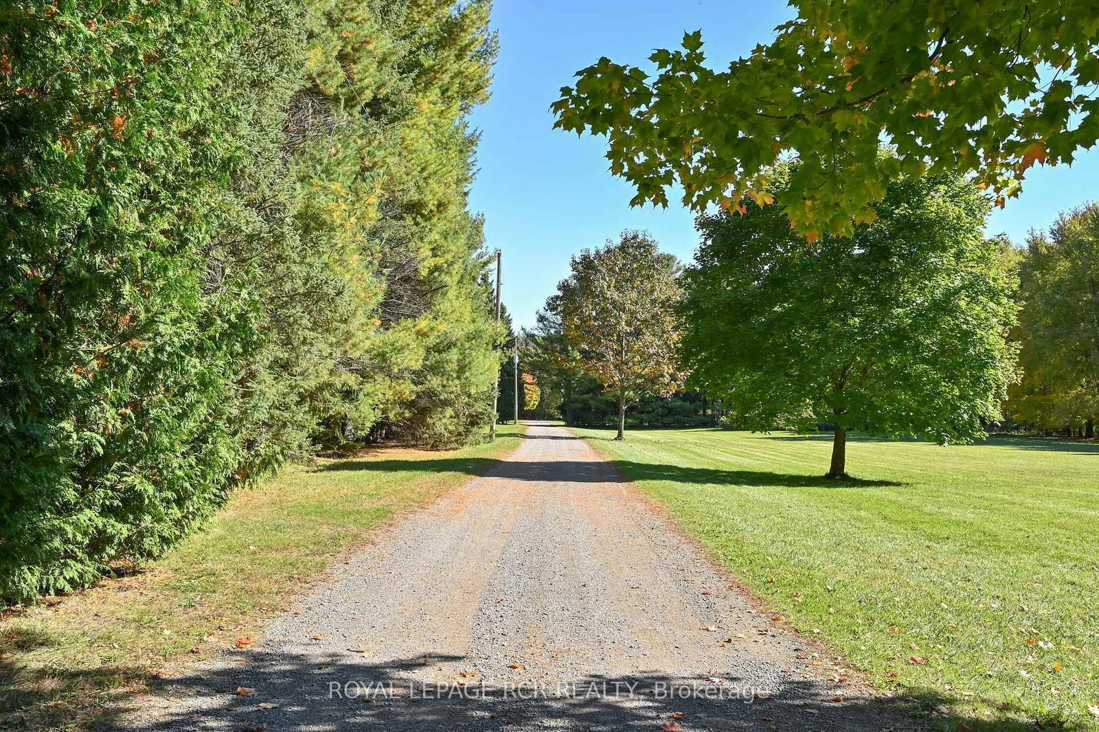 2863 Concession Rd 3 • Adjala-Tosorontio, ON photo 6