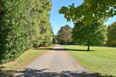 2863 Concession Rd 3 • Adjala-Tosorontio, ON photo 6