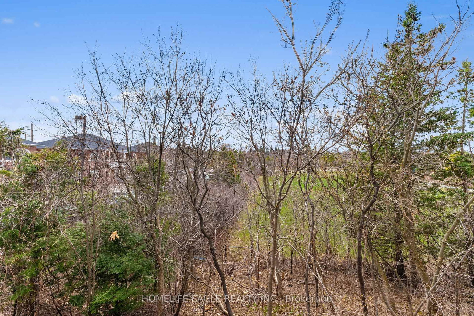 7 Phelps Lane • #16 • Richmond Hill, ON photo 11