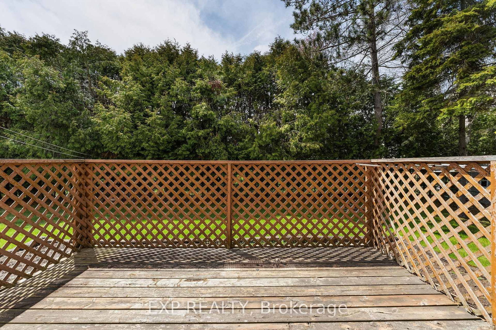 32 Louisa Street • Georgina, ON photo 39