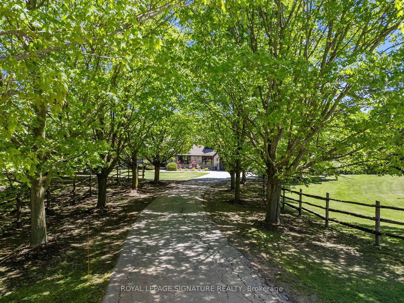 16455 11th Concession