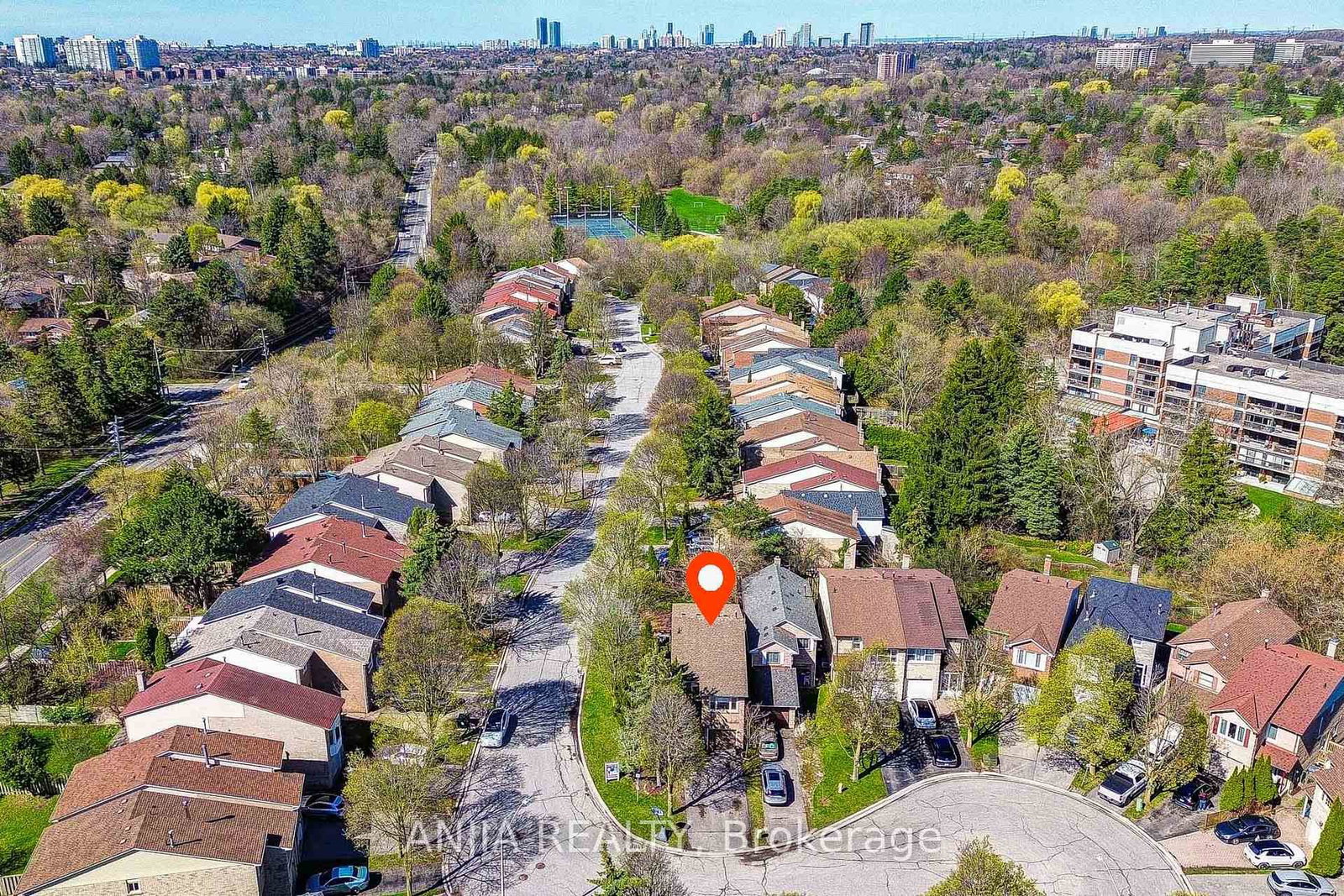 Listing Image 2