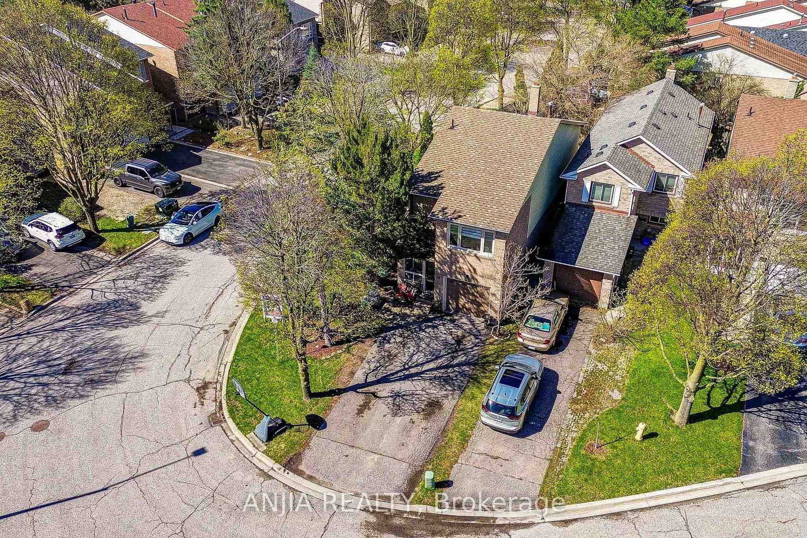Listing Image 4
