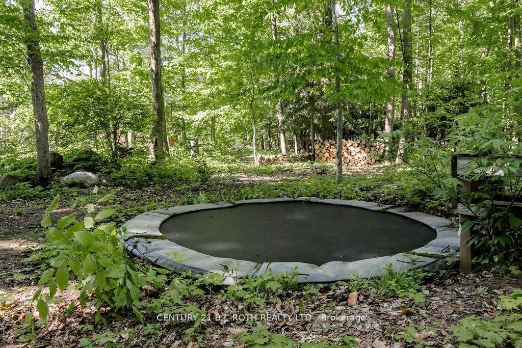 3274 Liah Lane • Innisfil, ON photo 39