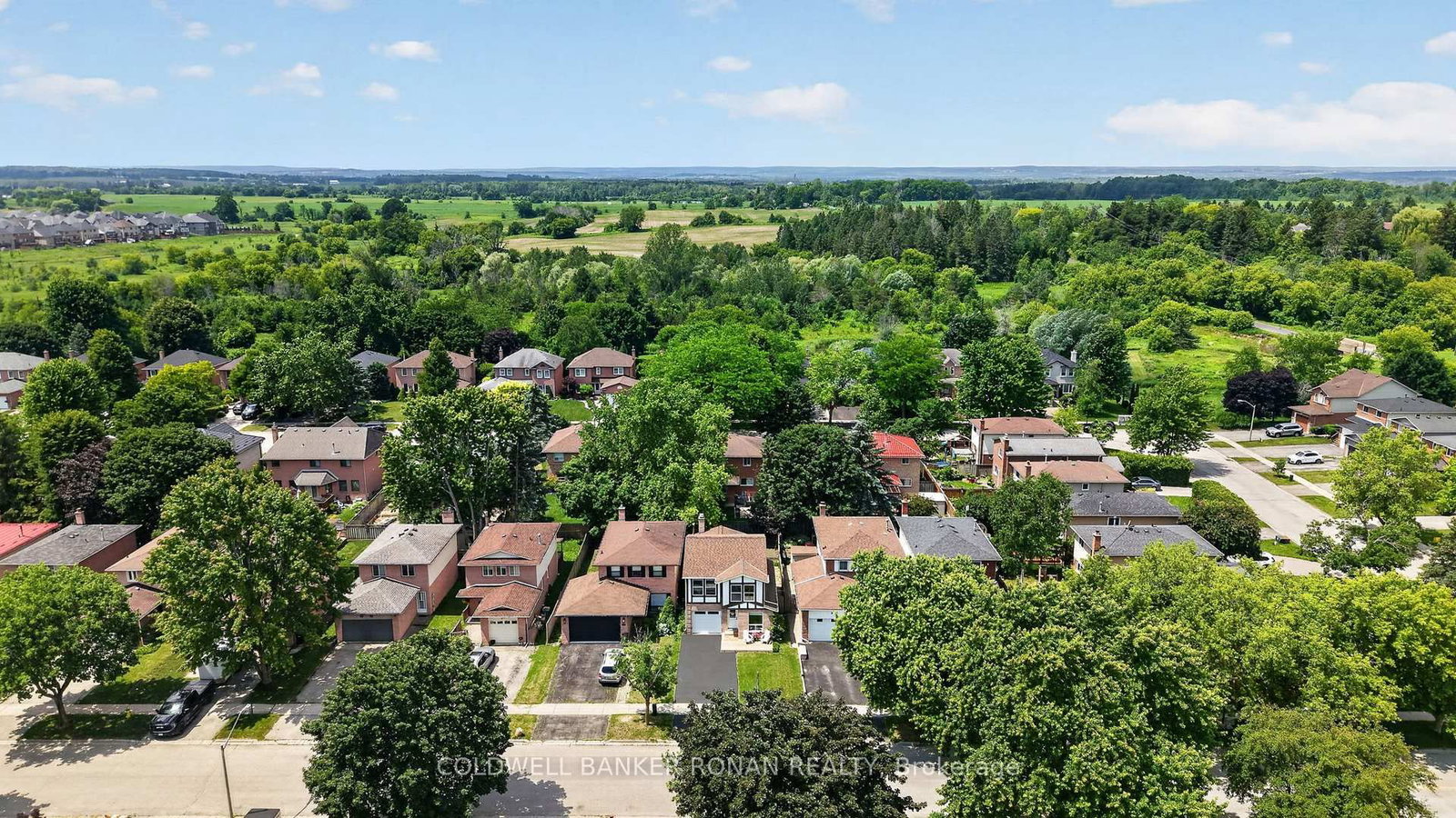 92 Daniele Avenue N • New Tecumseth, ON photo 39