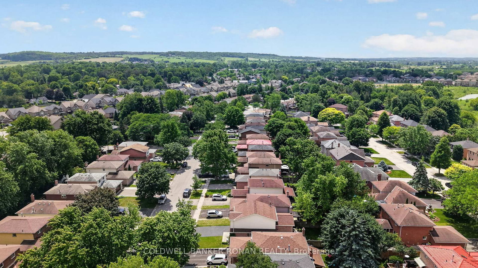 92 Daniele Avenue N • New Tecumseth, ON photo 40