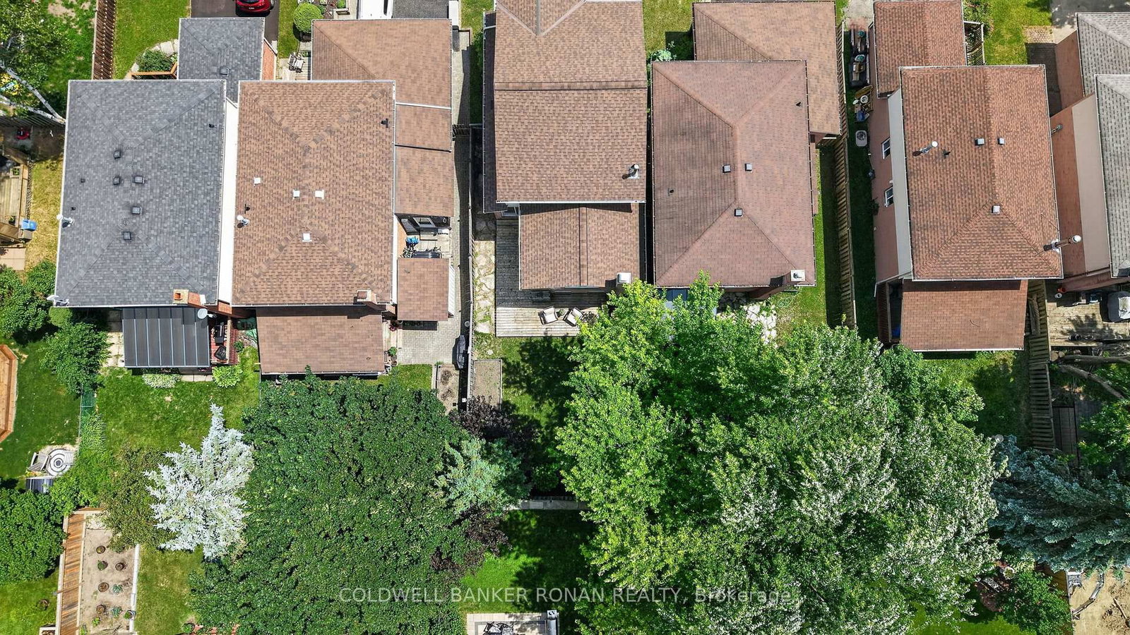 92 Daniele Avenue N • New Tecumseth, ON photo 41