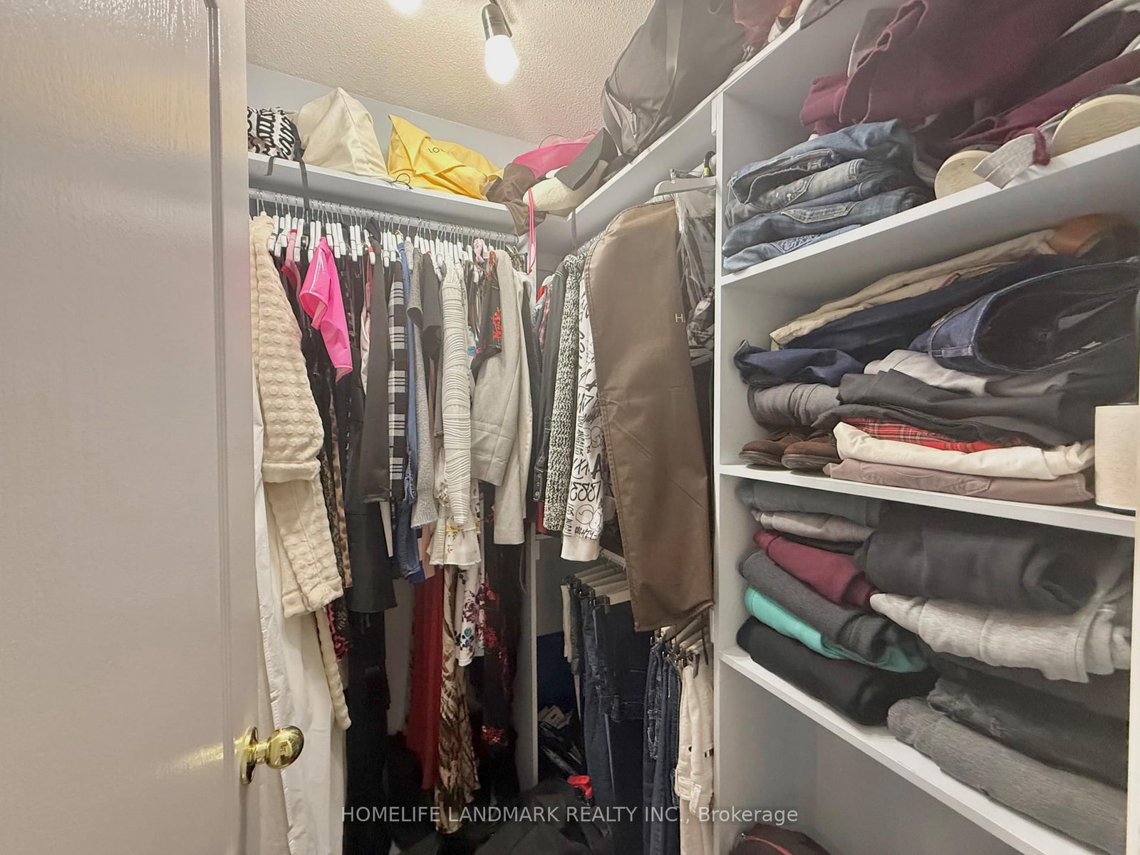 45 Carrillo Street • Vaughan, ON photo 15