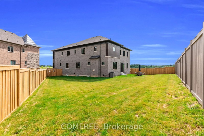 35 Ogilvie Street
