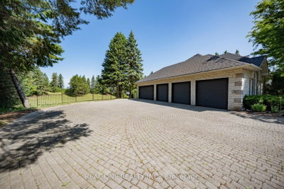 14 Alm Court — photo 2