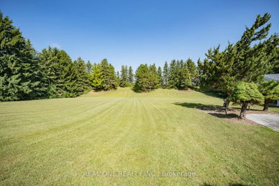 14 Alm Court — more photos