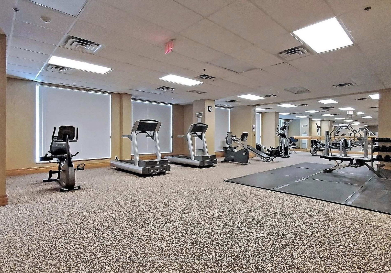 185 Oneida Crescent • #911 • Richmond Hill, ON photo 24