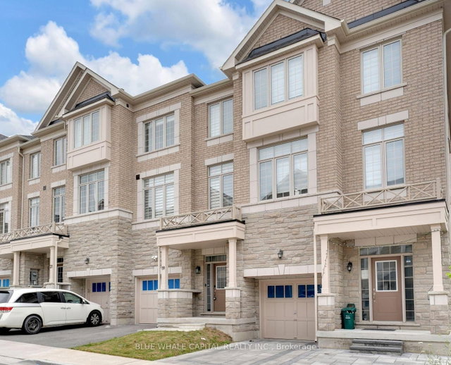 19 Andress Way