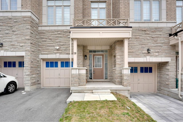 19 Andress Way