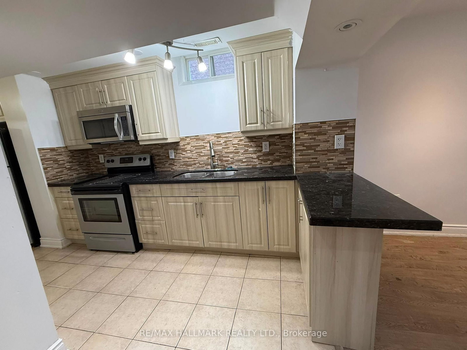 Basement - 209 Old Colony Road S, Richmond Hill 3