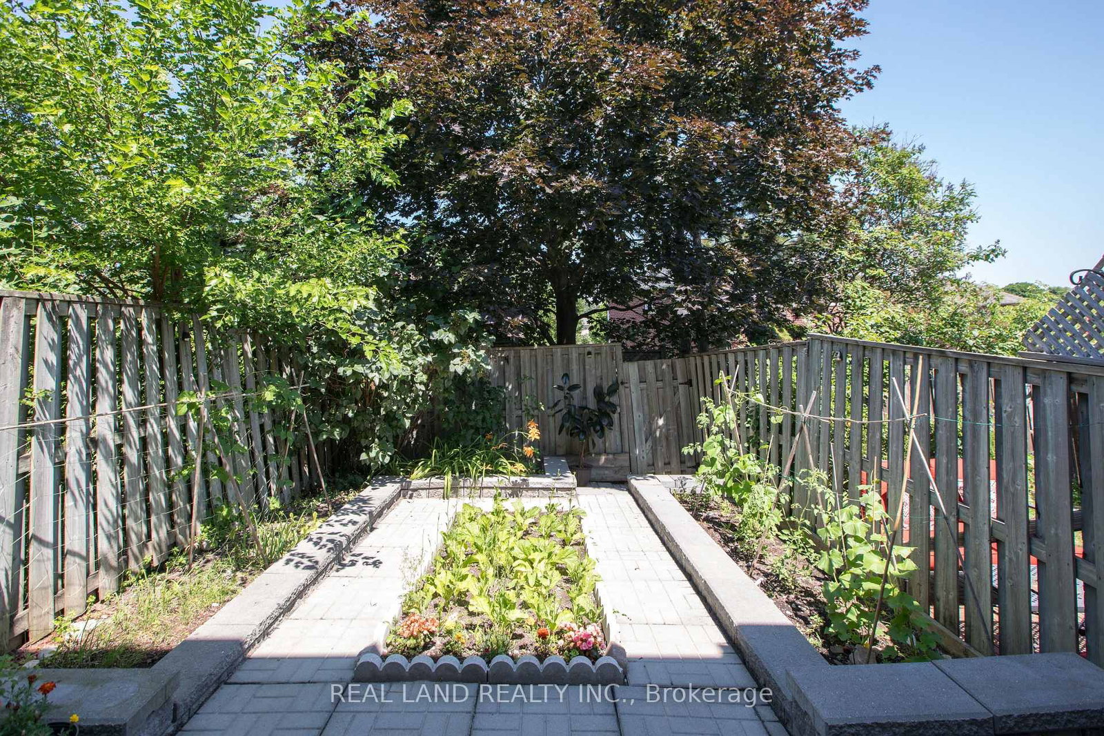 697 Limpert Terrace • Newmarket, ON photo 37