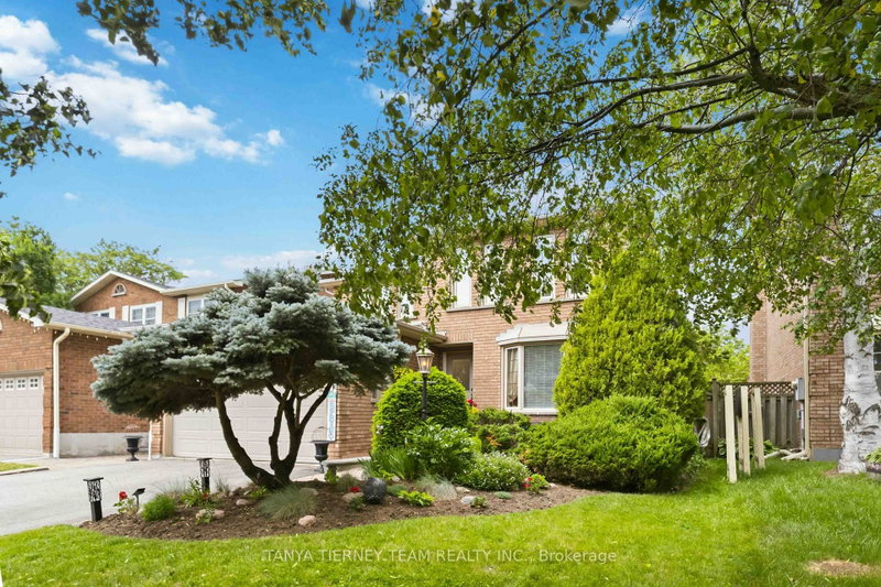 60 Cairns Drive
