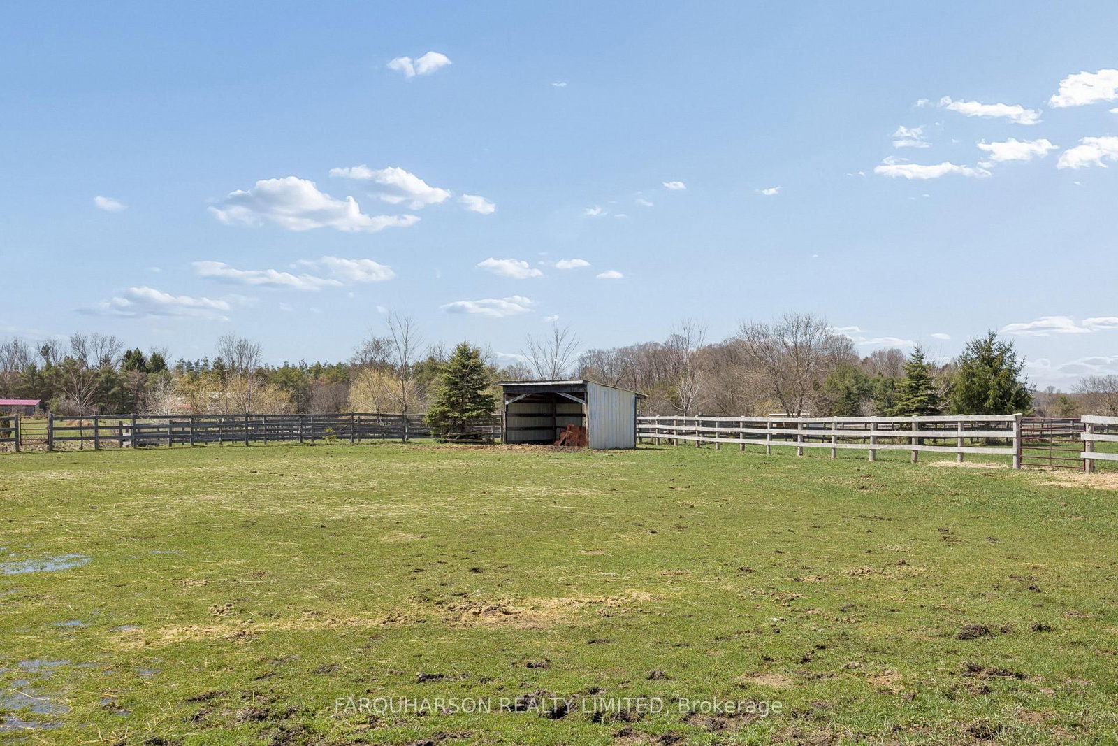 384 Feasby Road • Uxbridge, ON photo 39