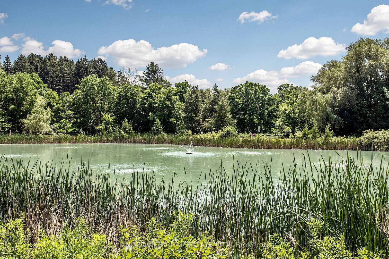 440 William Graham Drive • #503 • Aurora, ON photo 37
