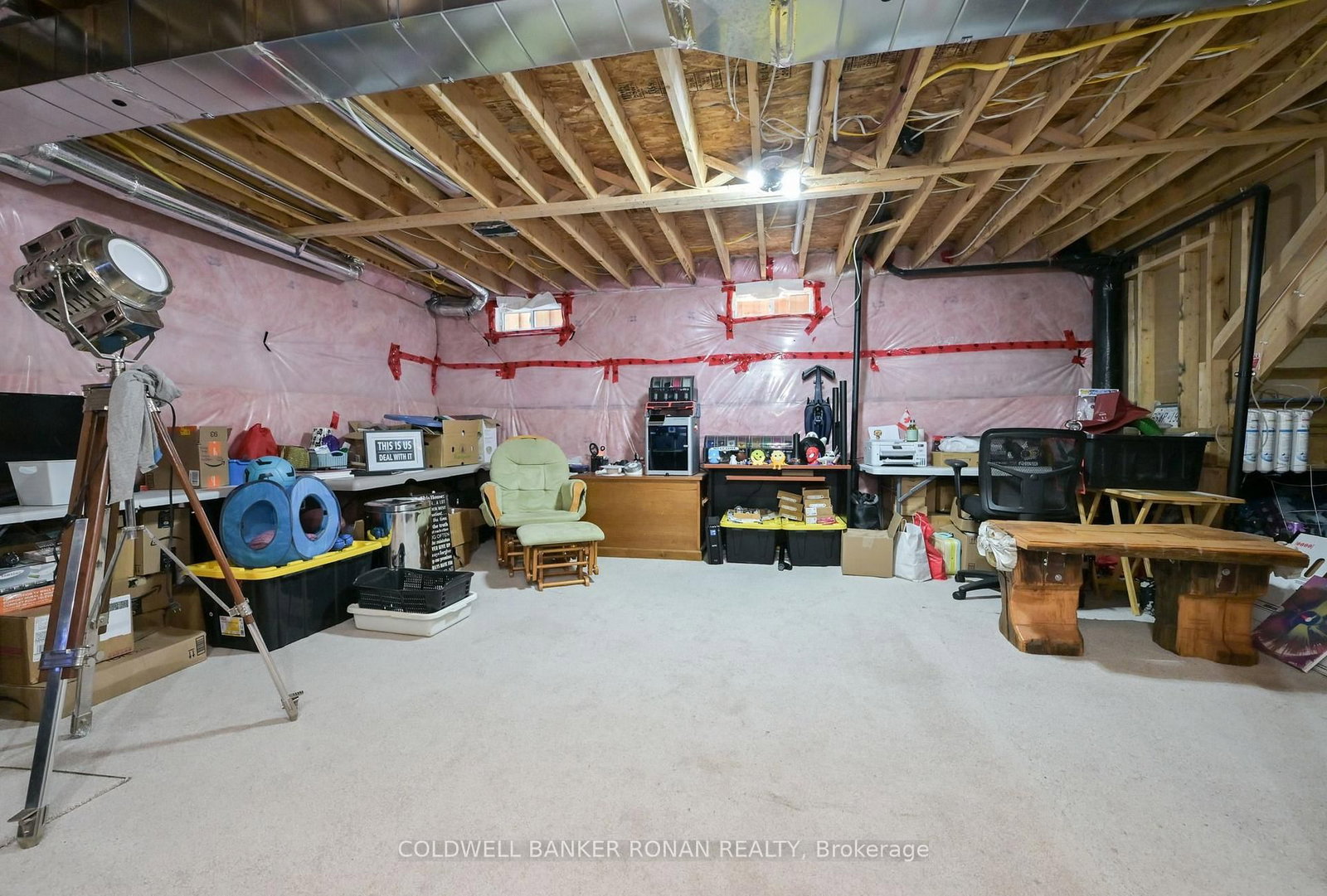66 Sydie Lane • New Tecumseth, ON photo 35