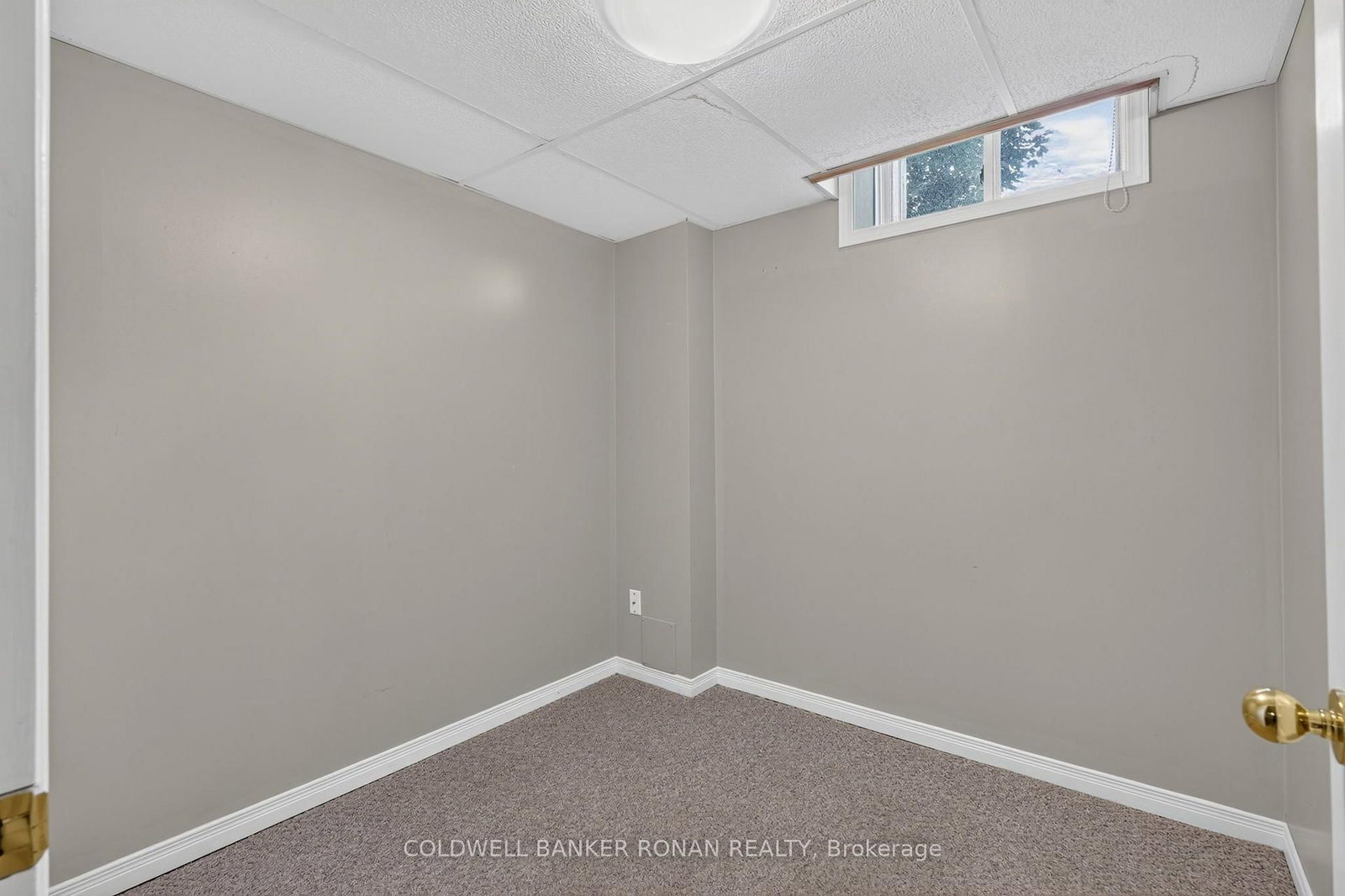 61 Darling Crescent • New Tecumseth, ON photo 29