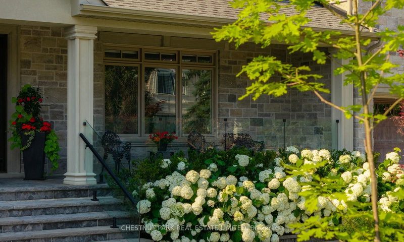 50 Blackforest Drive